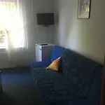 Goscinne Niedzwiedz