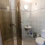 Goscinne Niedzwiedz