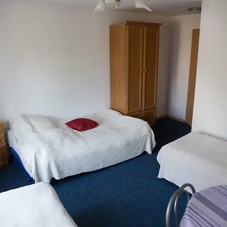 Goscinne Niedzwiedz *