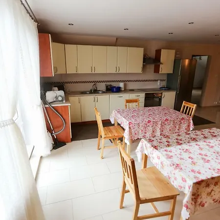 Goscinne Niedzwiedz *