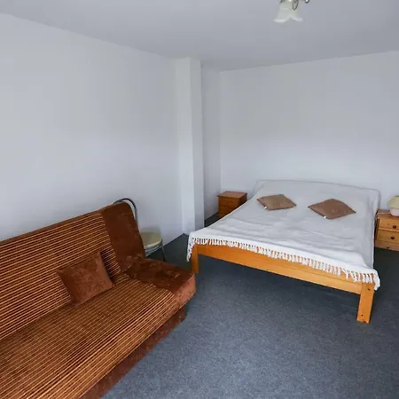 Goscinne Niedzwiedz *