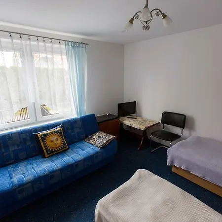 Goscinne Niedzwiedz *