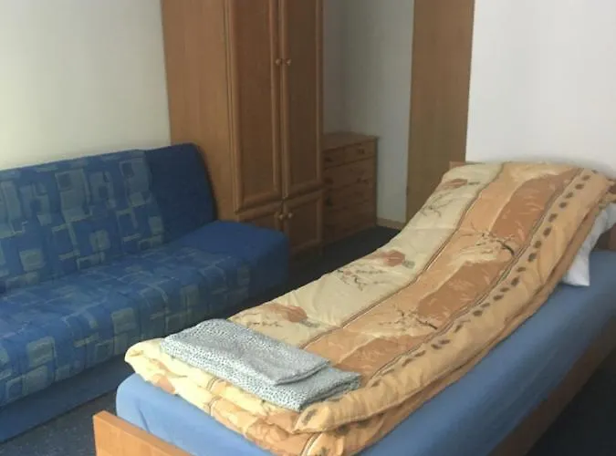 Goscinne Niedzwiedz *