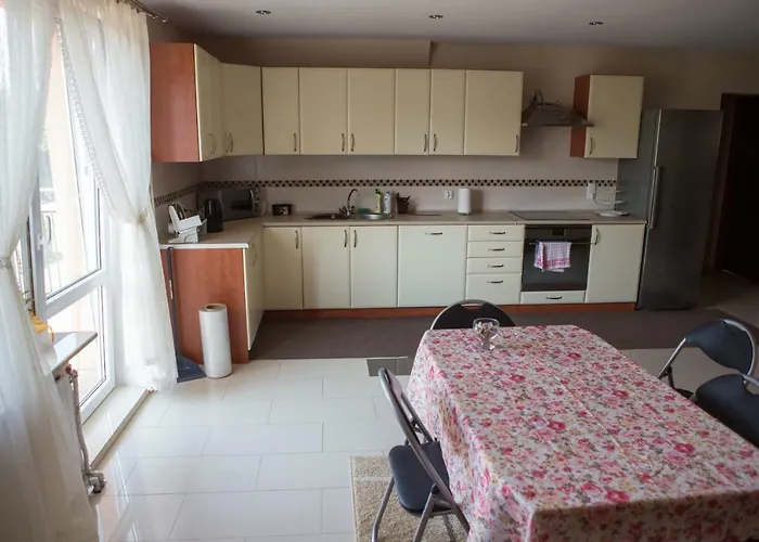 Goscinne Niedzwiedz *