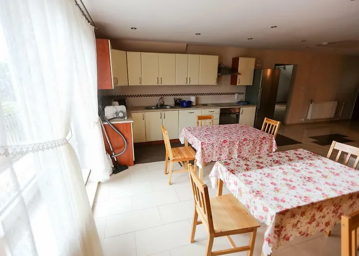 Goscinne Niedzwiedz *