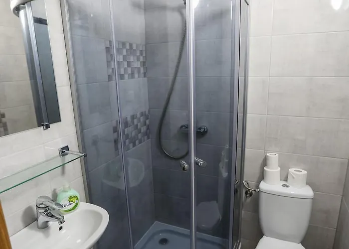 Goscinne Niedzwiedz *