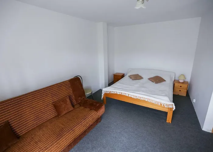 Goscinne Niedzwiedz *