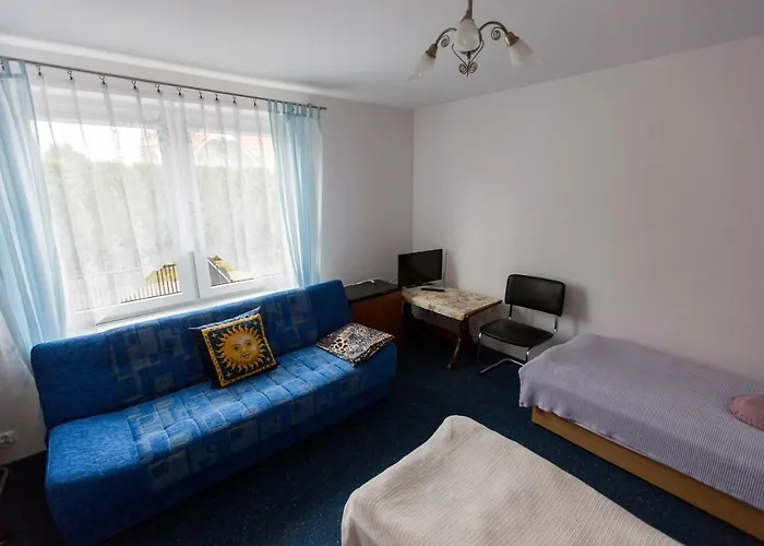 Goscinne Niedzwiedz *